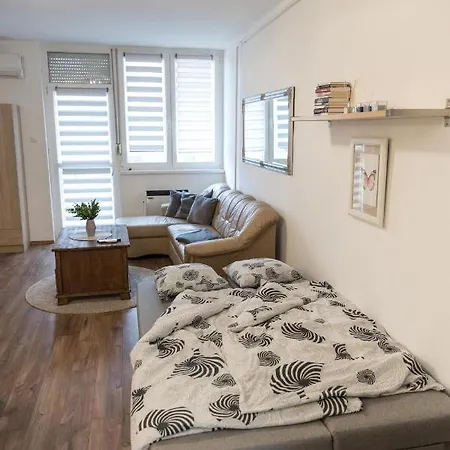 Apartament Sflower Eger